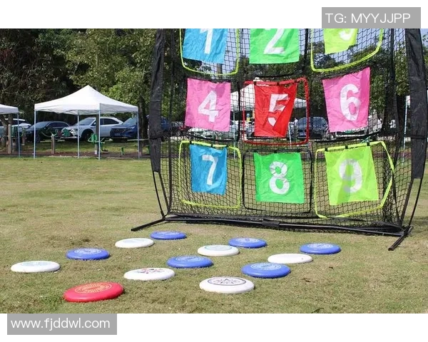 飞盘运动热潮下的杭州飞盘队意识探讨与发展前景分析