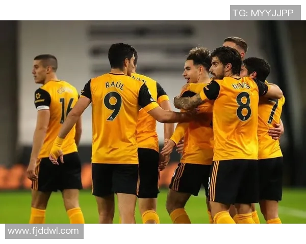 2018年英超精彩对决狼队与热刺的激烈较量回顾与分析